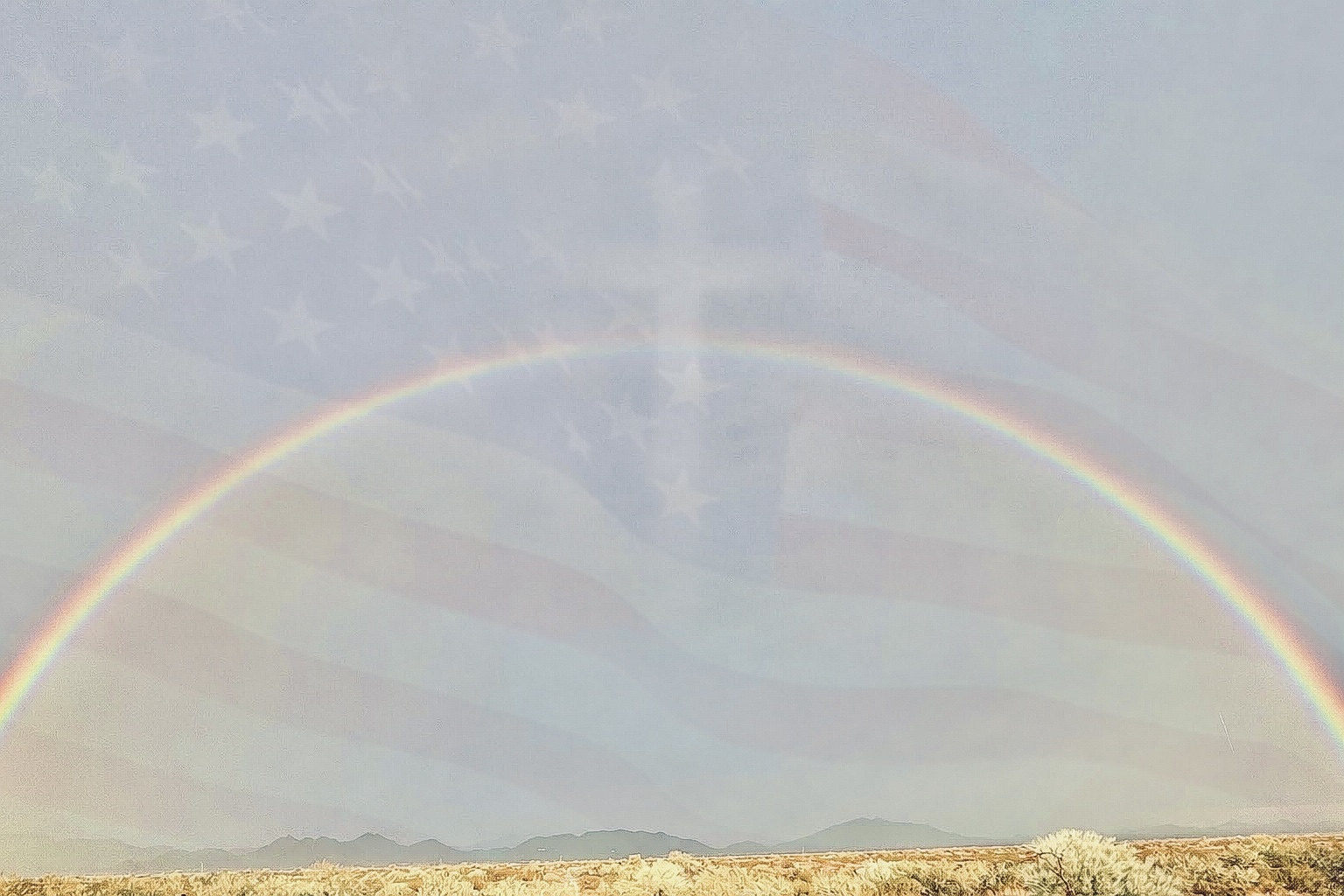 87486D52-88DE-4AED-BB10-234E53315886